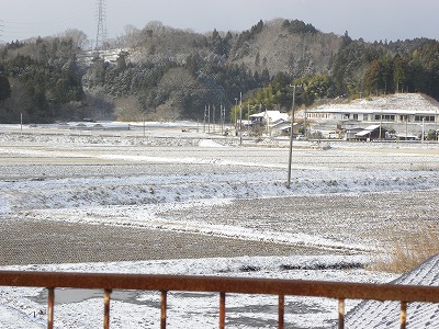 DSCN7553.jpg