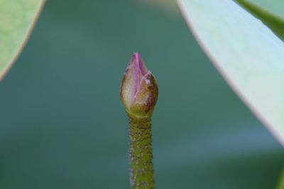 0615404.jpg