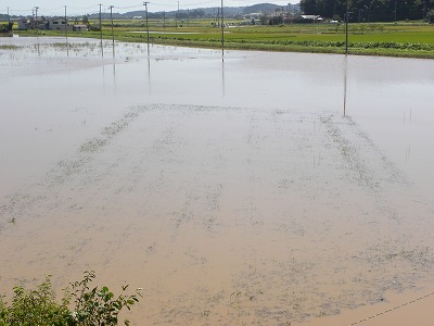 DSCN9383.jpg