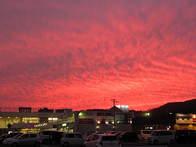 DSCN9696.jpg