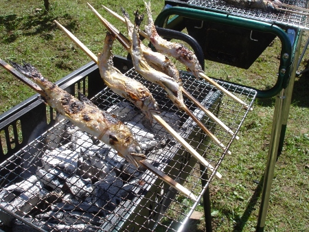 鮎