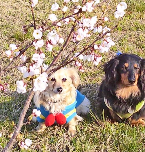 2014.4.18-3.jpg