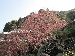 IMG_5362.jpg