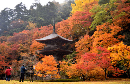 京都のニュース】深まる秋、錦織り成す３０００本の紅葉 京都・舞鶴