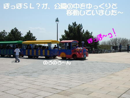 0403033.jpg