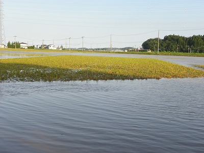 DSCN9411.jpg