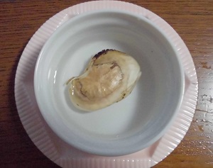 太陽のタマゴ 栽培 種 7