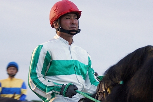 ほこ×たて、ばんえい競馬・テンマデトドケ号と安部憲二騎手 | 空と猫と