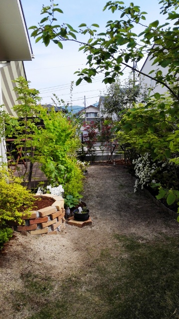 IMG_20150506_145847.jpg