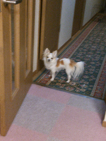rblog-20130430073636-03.png
