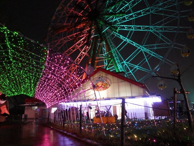 DSCF3338.JPG