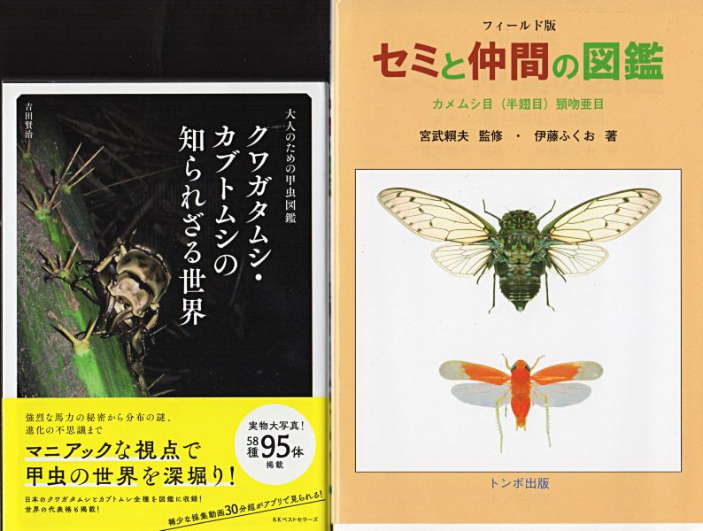 バッタ・コオロギ・キリギリス生態図鑑』付録CD2枚組 | おじなみ バッタ・コオロギ・キリギリス生態図鑑』付録CD2枚組 | おじなみ