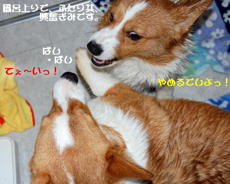 022703.jpg