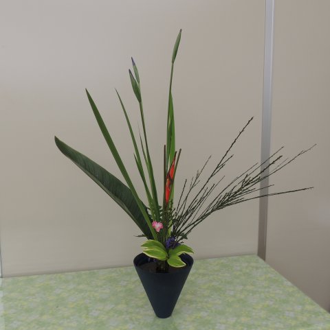 立花 新風体 お花のある生活 楽天ブログ