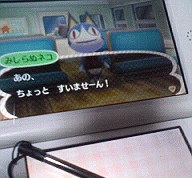 みしらぬねこ