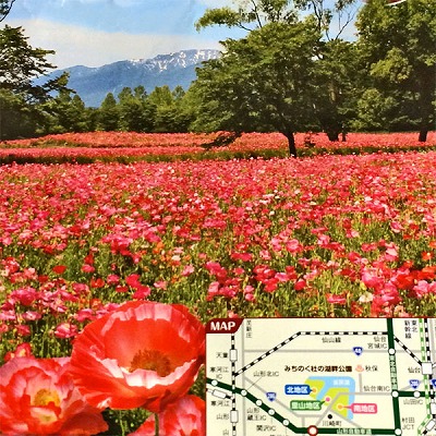 写真-(50).jpg