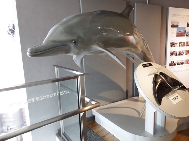 DSCF3490.JPG