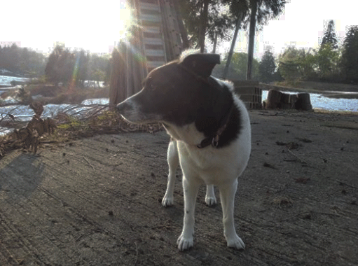 2014.5.2-7.gif