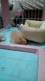 20110521214302.jpg