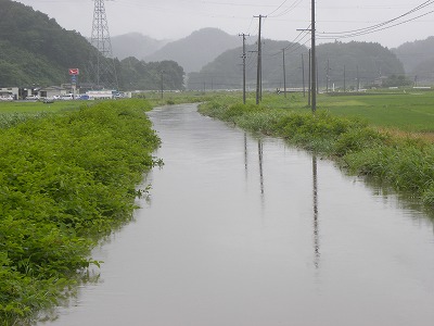 DSCN9357.jpg
