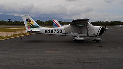 7041