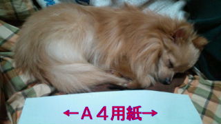 2012-02-25 20:15:50