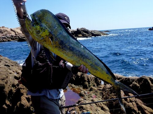 タックル紹介(パクリのパクリ) | お魚釣りたい - 楽天ブログ