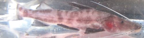 IMG_0205_R.JPG