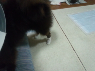 120619_190232.jpg