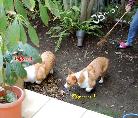 030403.jpg