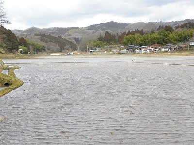 DSCN7551.jpg