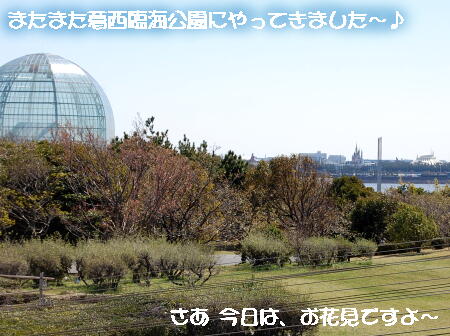 040907.jpg