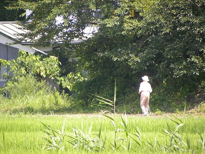 DSCN4421.jpg