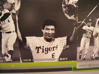 IMG_5674.jpg