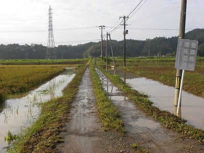 DSCN9419.jpg