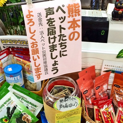 写真-(19).jpg