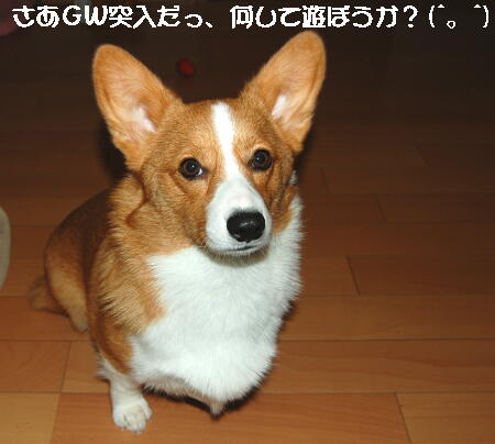 042806.jpg