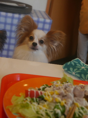 2012千葉オフ会8.JPG
