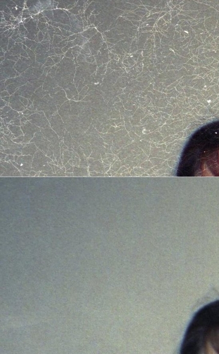 ICE2