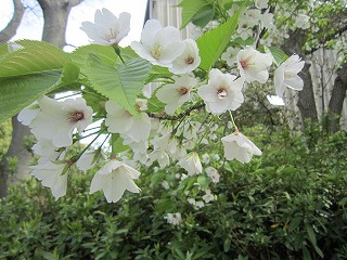IMG_6158.jpg