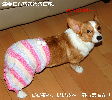 021103.jpg