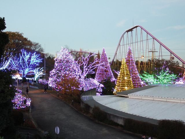 DSCF3493.JPG