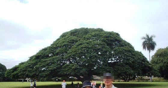 DSCF0210.jpg