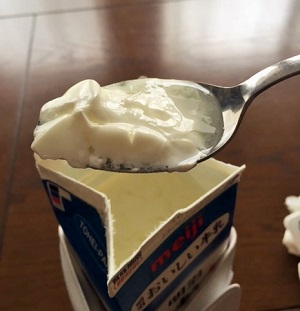 ホームメイドヨーグルト実食2