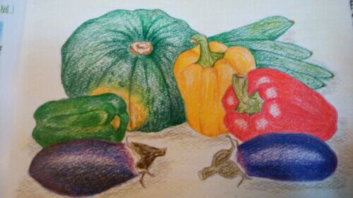 夏野菜いろいろ！色鉛筆画。 | さくら日記 - 楽天ブログ