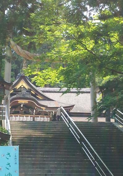 2012-05-28 11.18.58-1.jpg