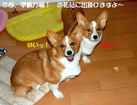 040906.jpg