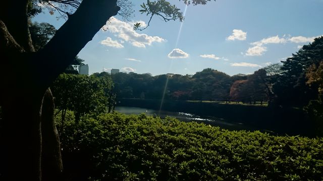 2014-12-06 13.34.16.jpg