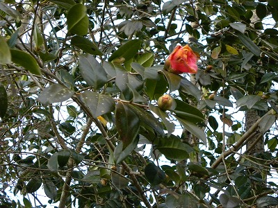 DSCN7476.jpg