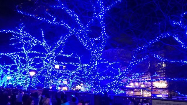 2014-12-06 17.13.07.jpg